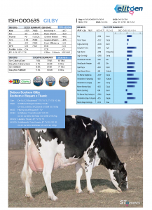 151h000635-gilby